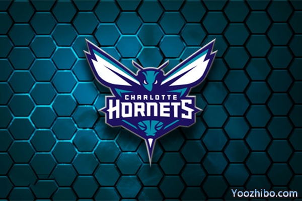 2019-2020赛季<a href=/lanqiu/suoyou/hornets/ target=_blank class=infotextkey>黄蜂</a>队队徽